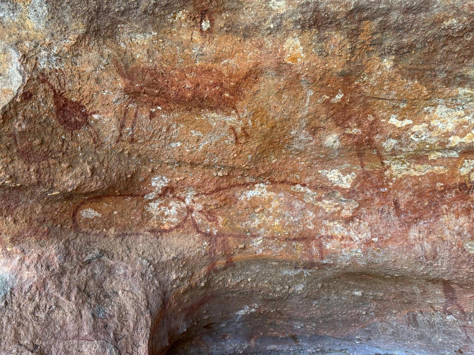 Casa Barreirinho Parque Nacional Serra Da Capivara Coronel Jose Dias Dış mekan fotoğraf