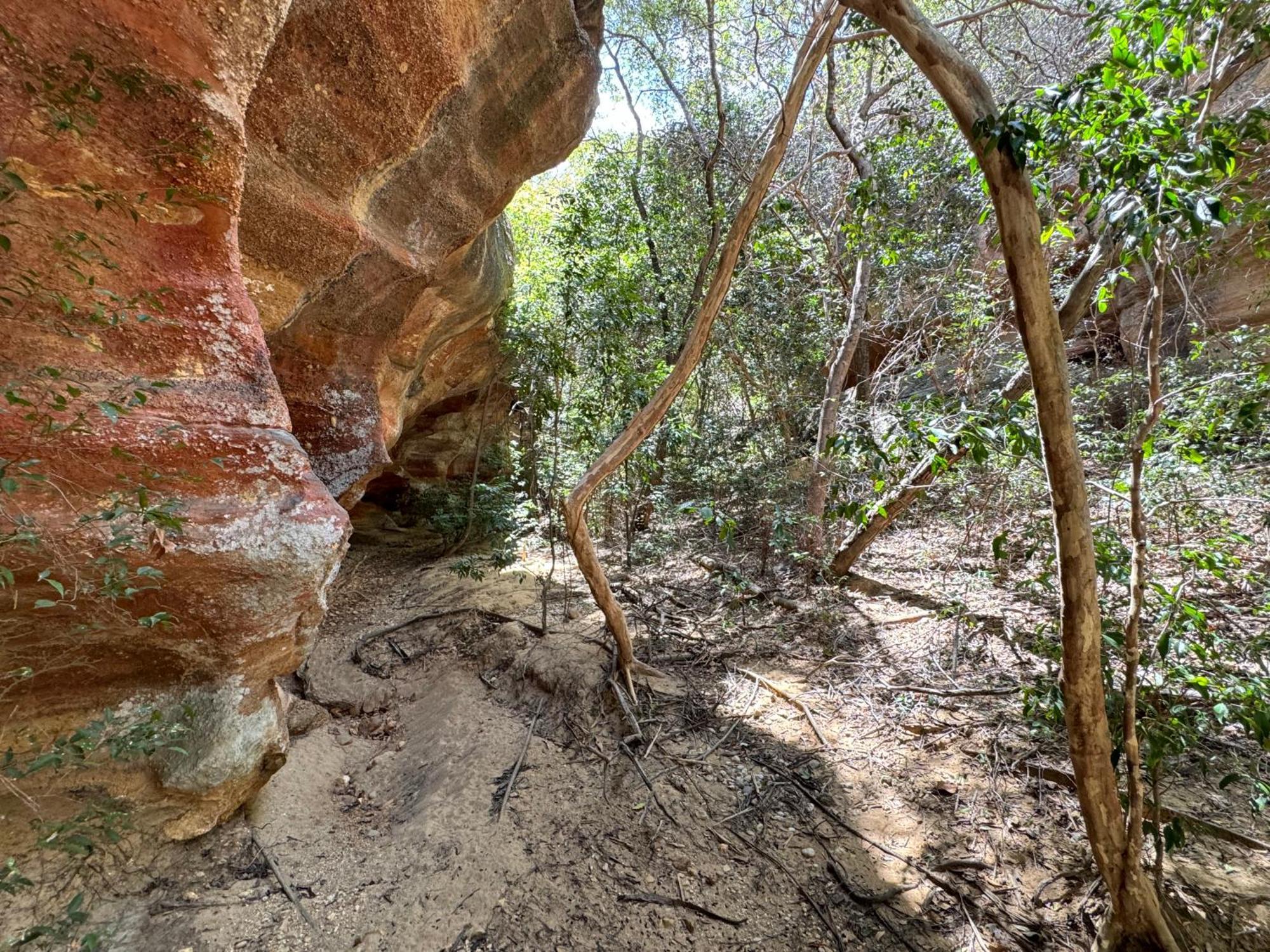 Casa Barreirinho Parque Nacional Serra Da Capivara Coronel Jose Dias Dış mekan fotoğraf