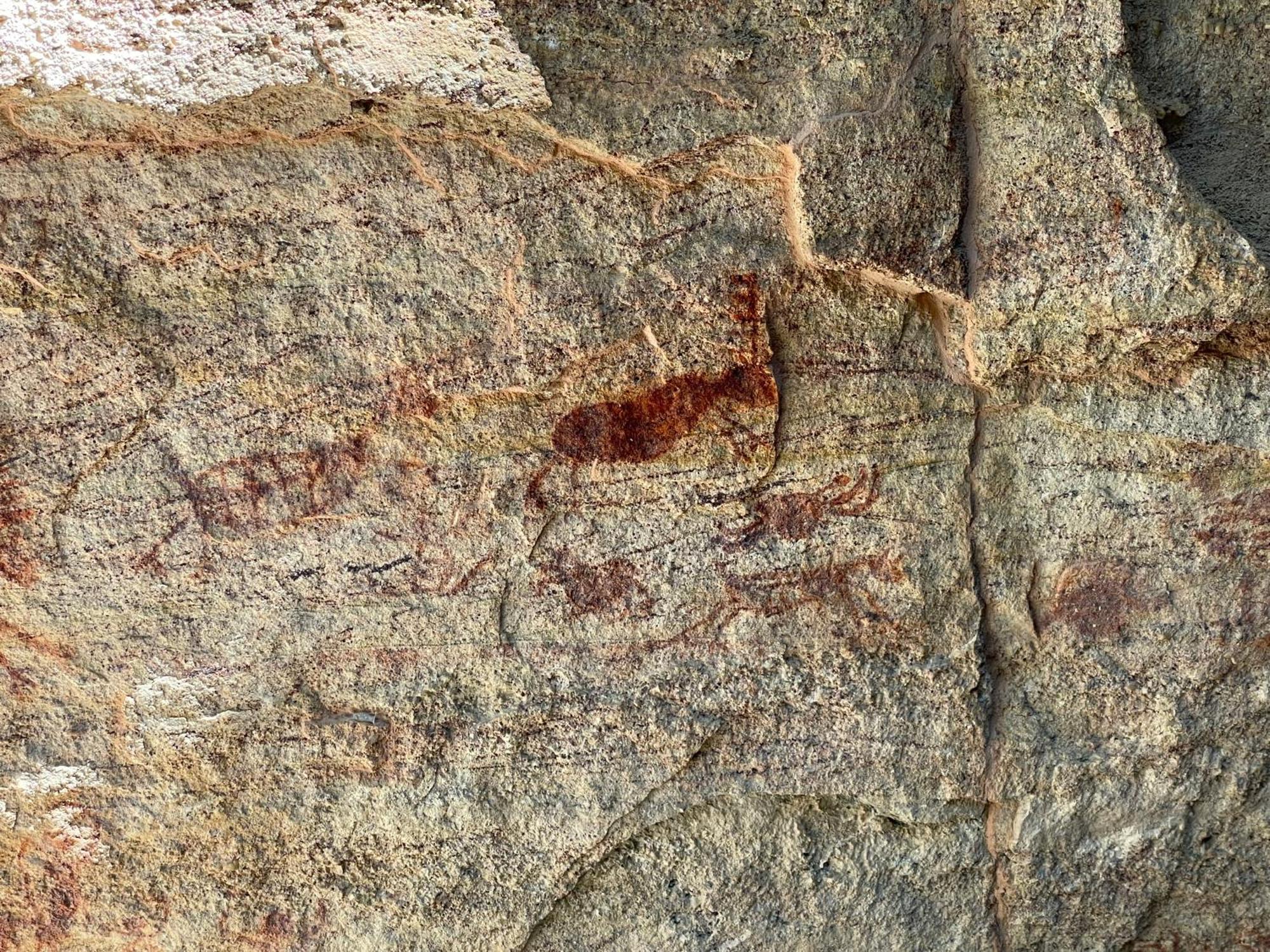 Casa Barreirinho Parque Nacional Serra Da Capivara Coronel Jose Dias Dış mekan fotoğraf