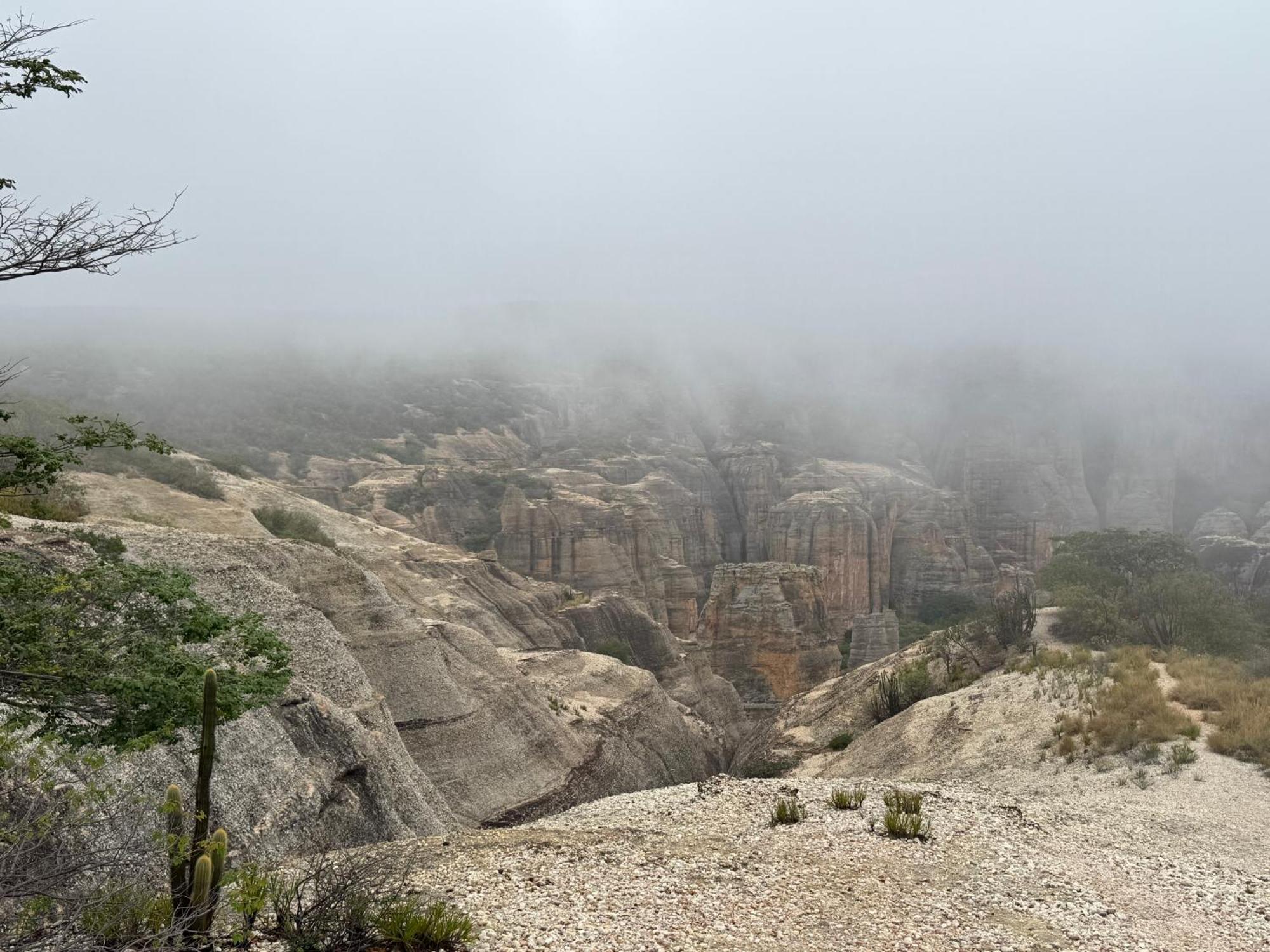 Casa Barreirinho Parque Nacional Serra Da Capivara Coronel Jose Dias Dış mekan fotoğraf