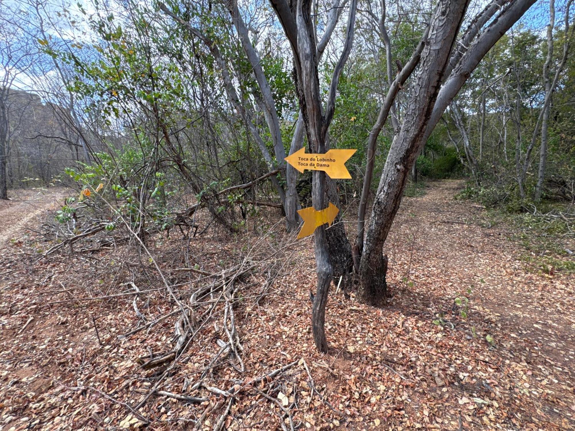Casa Barreirinho Parque Nacional Serra Da Capivara Coronel Jose Dias Dış mekan fotoğraf