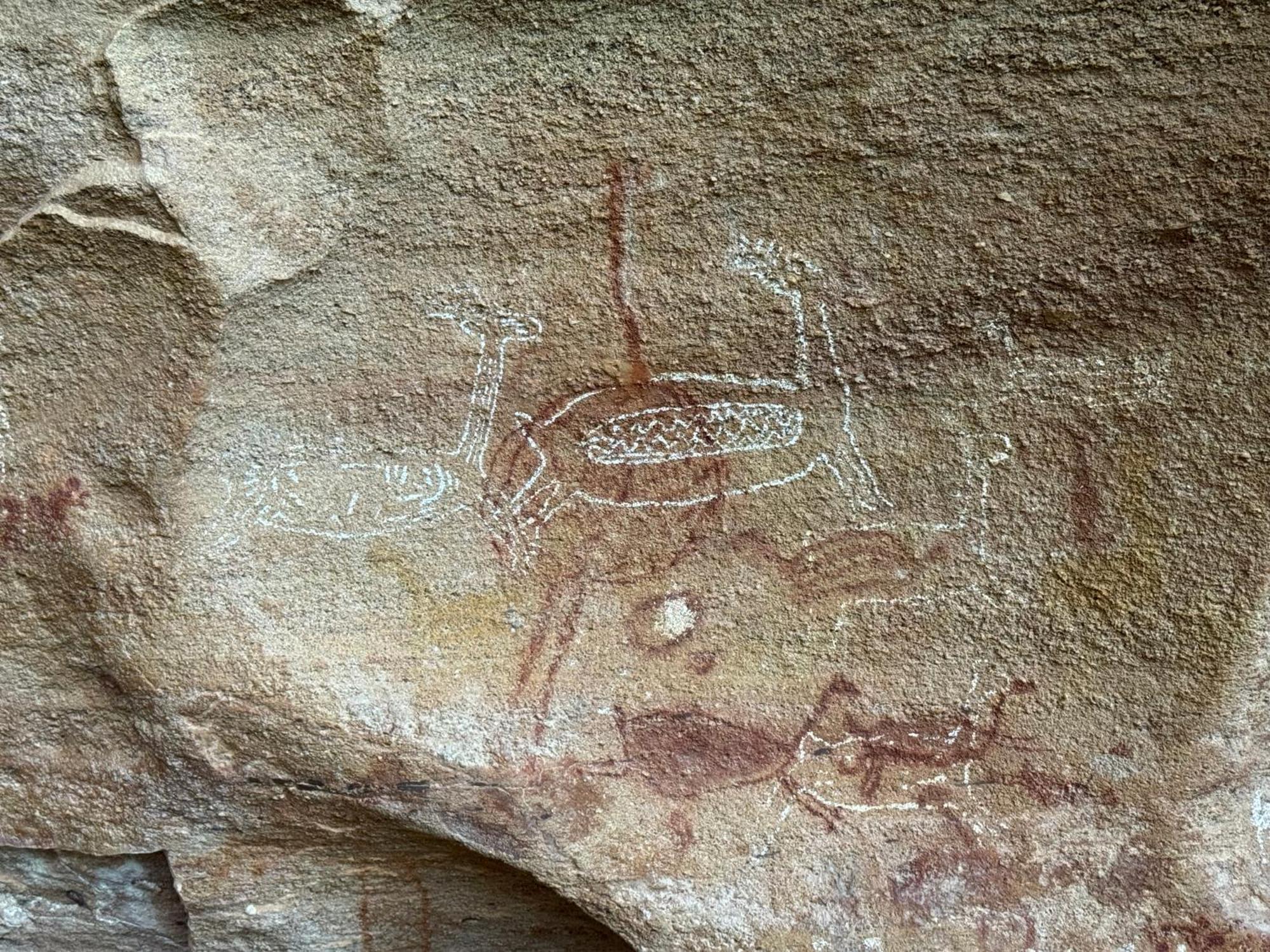 Casa Barreirinho Parque Nacional Serra Da Capivara Coronel Jose Dias Dış mekan fotoğraf