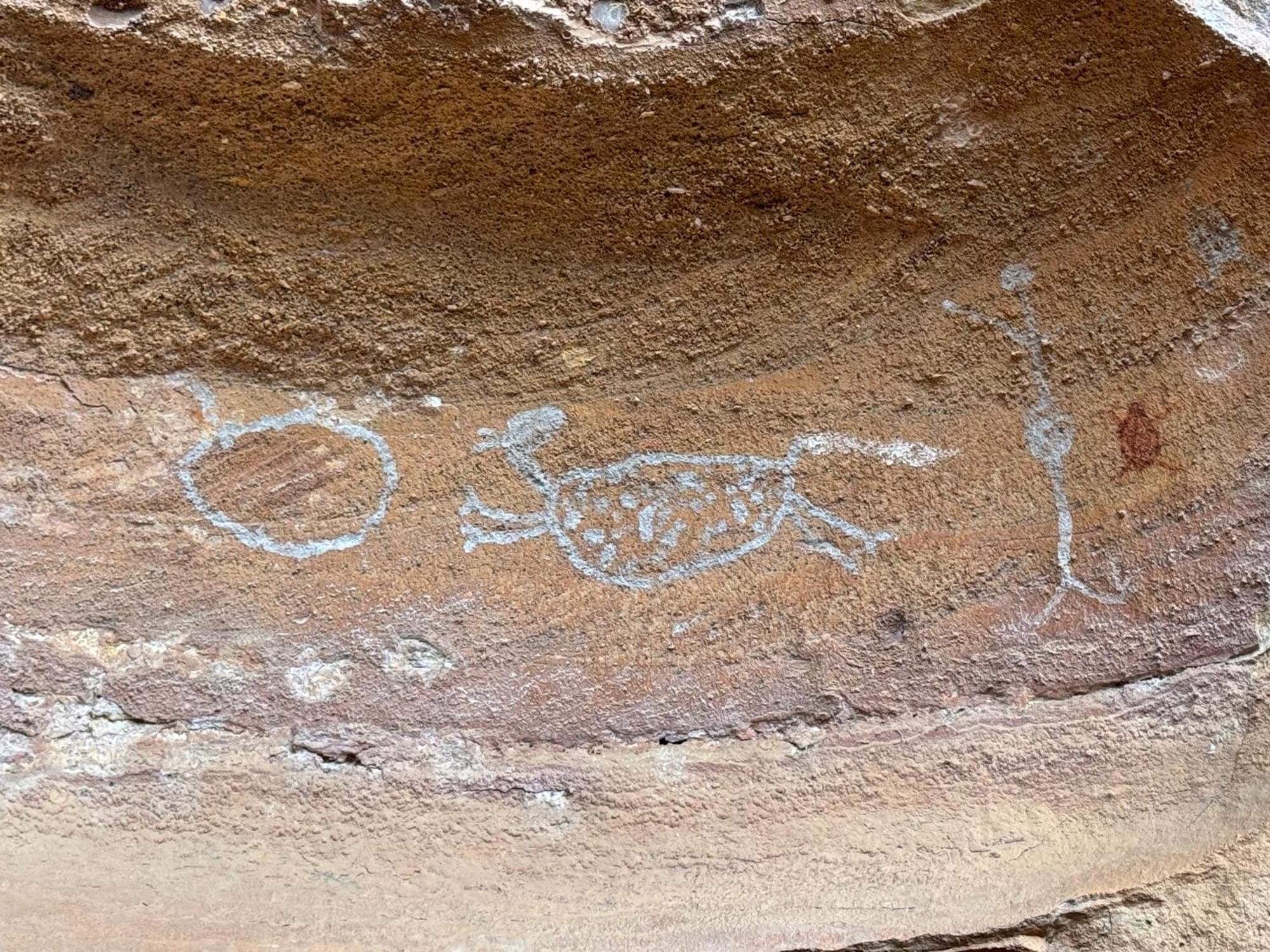 Casa Barreirinho Parque Nacional Serra Da Capivara Coronel Jose Dias Dış mekan fotoğraf