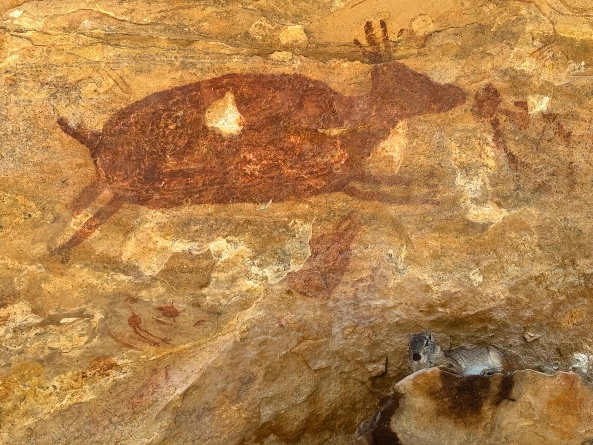 Casa Barreirinho Parque Nacional Serra Da Capivara Coronel Jose Dias Dış mekan fotoğraf