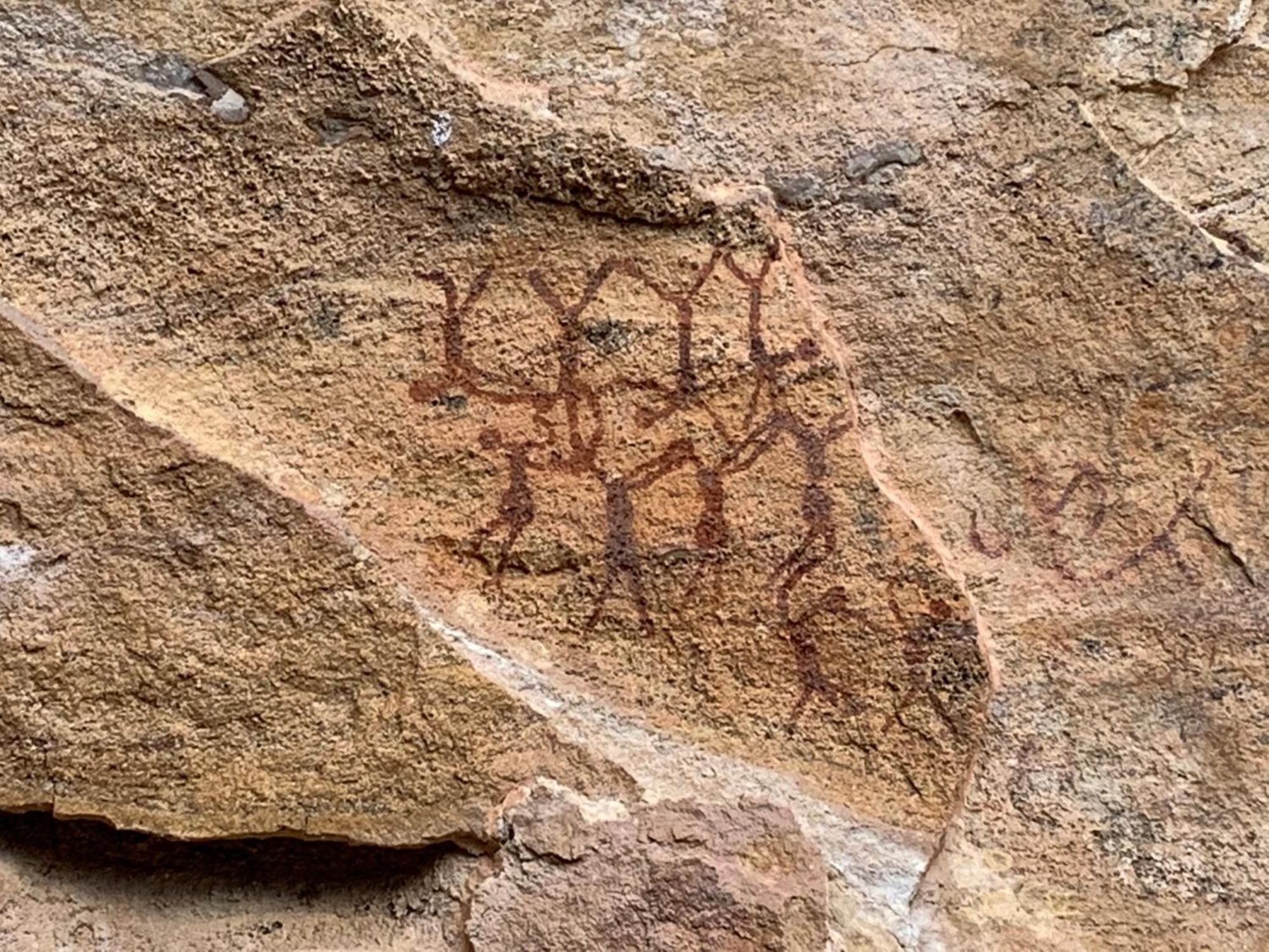 Casa Barreirinho Parque Nacional Serra Da Capivara Coronel Jose Dias Dış mekan fotoğraf